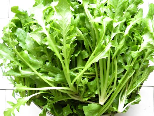 有机荠菜250g 商品图2