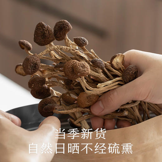 南食召 茶树菇 商品图2