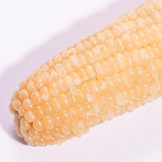 山西谷苞苞甜糯玉米年轻乐享装 (黑白)220g-300g*8根 商品图3