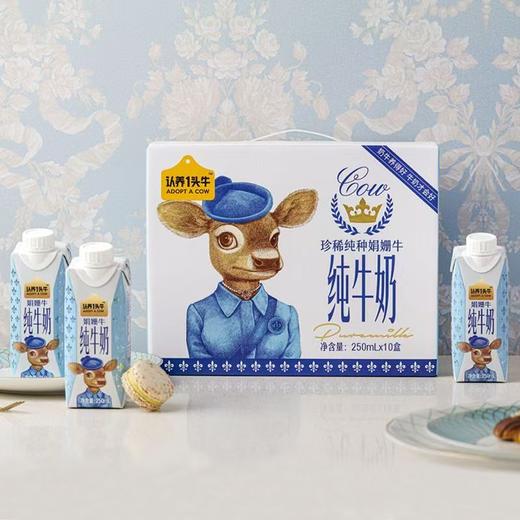 spp 认养一头牛娟姗奶梦幻盖250ml*10 商品图0