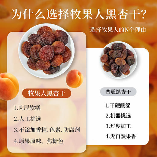 【分仓直发包邮】牧果人土耳其黑杏干100g*2袋 商品图4