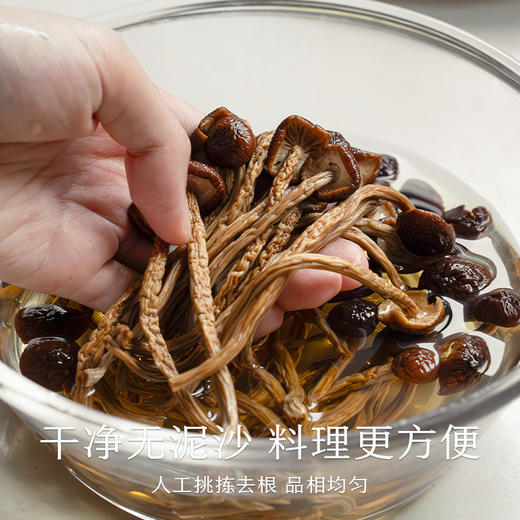 南食召 茶树菇 商品图3