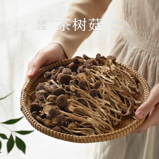 南食召 茶树菇 商品图0