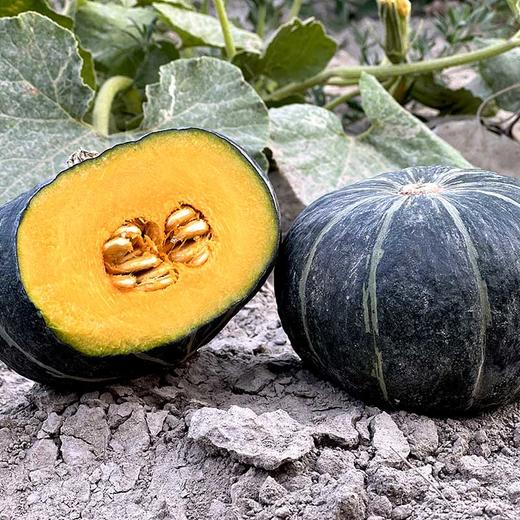 山东贝贝南瓜4.5斤礼盒装（约4-8个） 商品图2