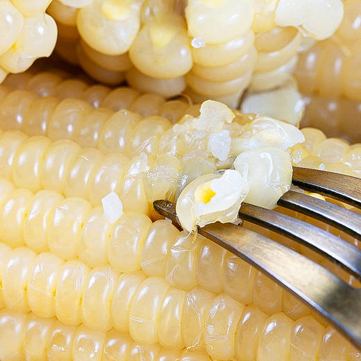 山西谷苞苞甜糯玉米年轻乐享装 (白)220g-300g*8根 商品图1