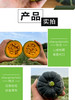 山东贝贝南瓜4.5斤礼盒装（约4-8个） 商品缩略图8