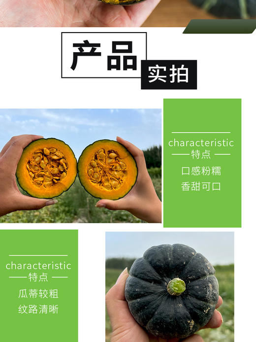山东贝贝南瓜4.5斤礼盒装（约4-8个） 商品图8