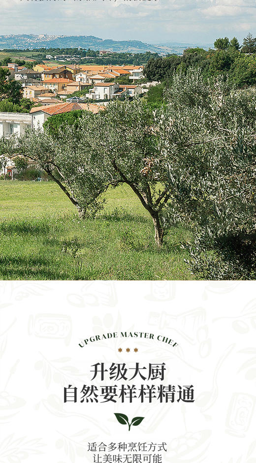 见山荟 有机山茶油礼盒500ml*2 商品图4