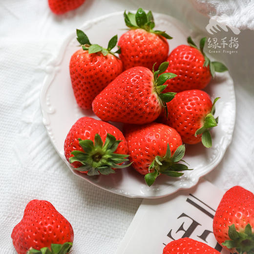 生态草莓（北京，过年正常发货）| 合作生产*Ecological strawberries|  Partner Production 商品图3