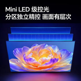 海信（Hisense）（912852）电视 A51Q系列 Mini LED级控光 U+超画质引擎4K高清画质 WIFI6 家用客厅平板电视机 55英寸 75A51Q
