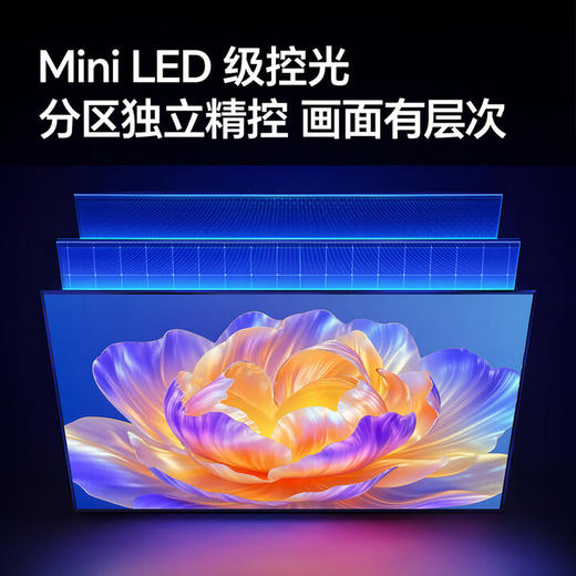 海信（Hisense）（912852）电视 A51Q系列 Mini LED级控光 U+超画质引擎4K高清画质 WIFI6 家用客厅平板电视机 55英寸 75A51Q 商品图0