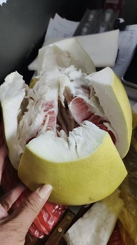 红心柚子1*1个