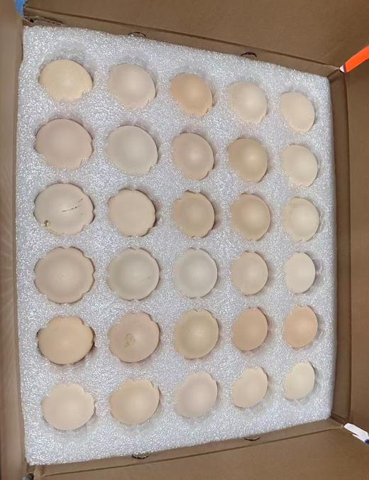 【严选】荆裕优选阳光跑山鸡鲜鸡蛋30枚装 商品图4