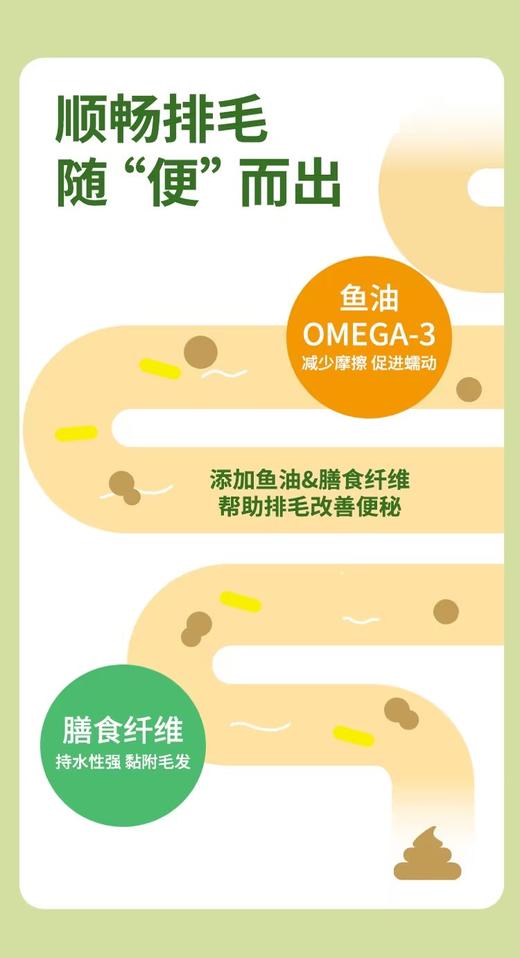 能量拾光宠物营养补充剂系列 商品图3