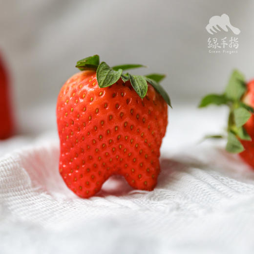 生态草莓（北京，过年正常发货）| 合作生产*Ecological strawberries|  Partner Production 商品图1