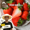 生态草莓（北京，过年正常发货）| 合作生产*Ecological strawberries|  Partner Production 商品缩略图0