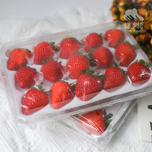 生态草莓（北京，过年正常发货）| 合作生产*Ecological strawberries|  Partner Production 商品图2