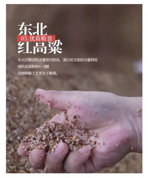 52°衡水老白干古法传承圆光瓶 500ml 商品图2