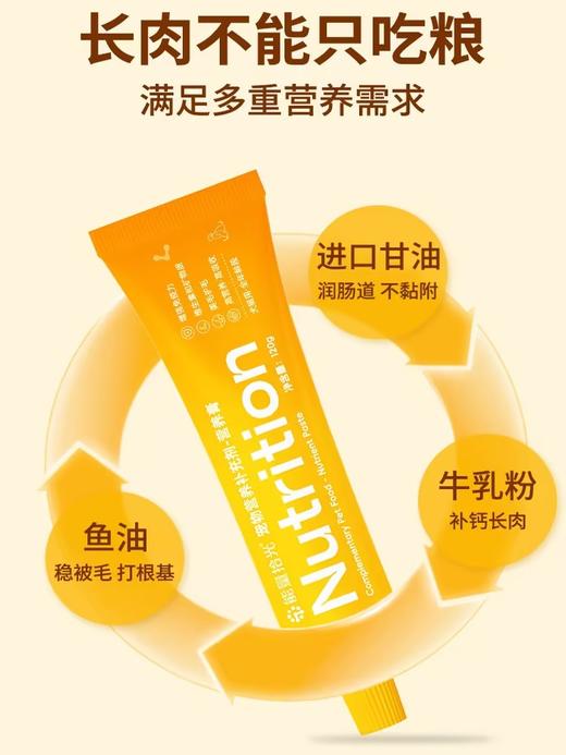 能量拾光营养补充剂系列 商品图1