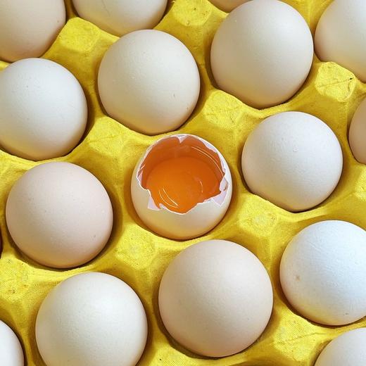 【严选】荆裕优选阳光跑山鸡鲜鸡蛋30枚装 商品图2