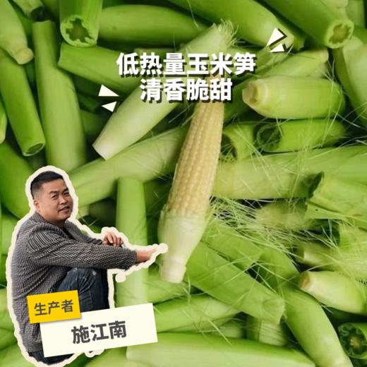 生态玉米笋（浙江） | 合作生产*Ecological baby corn | Partner Production 商品图0