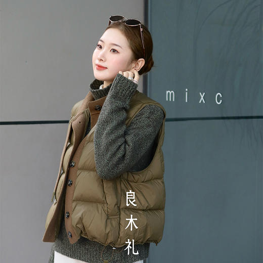 【特价不退换】【预售7天】良木礼羽绒马甲（D251102208F） 商品图5
