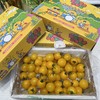 香芒皇后黄千禧 爆汁高糖小番茄 商品缩略图9