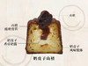 奶皮子山楂可露丽 商品缩略图1