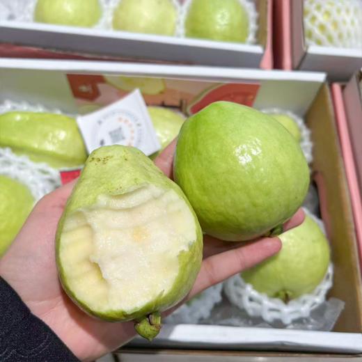 奶油芭乐 树熟采摘更软糯更香甜 商品图2