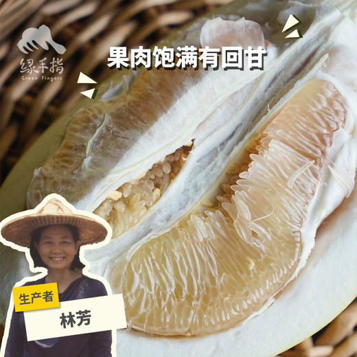 生态柚子（邮政快递） | 合作生产*Ecological pomelo | Partner Production 商品图0