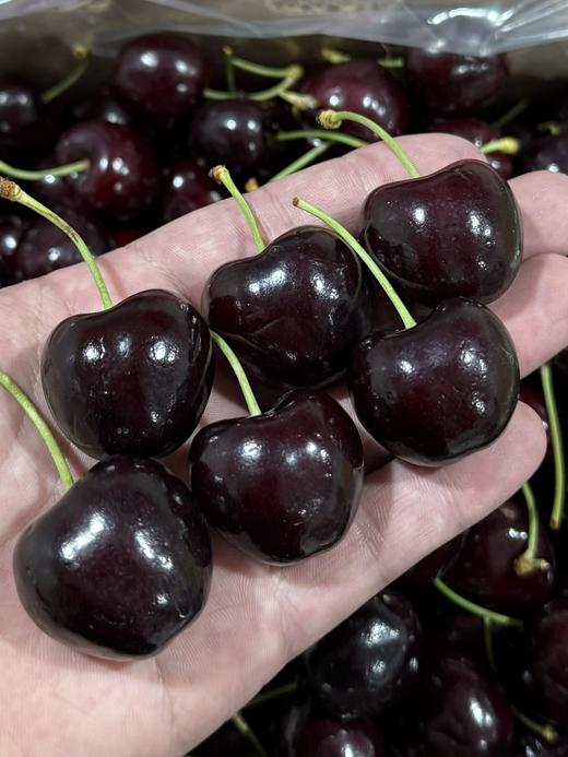 智利空运车厘子 商品图3