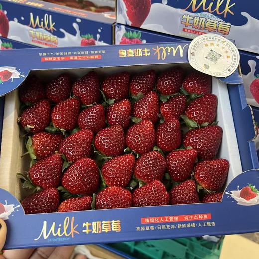 小彩盒黑珍珠草莓  香甜绵密 商品图4