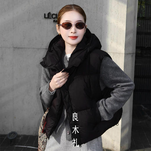【特价不退换】【部分现货】良木礼鸭绒马甲（D25102309F） 商品图2