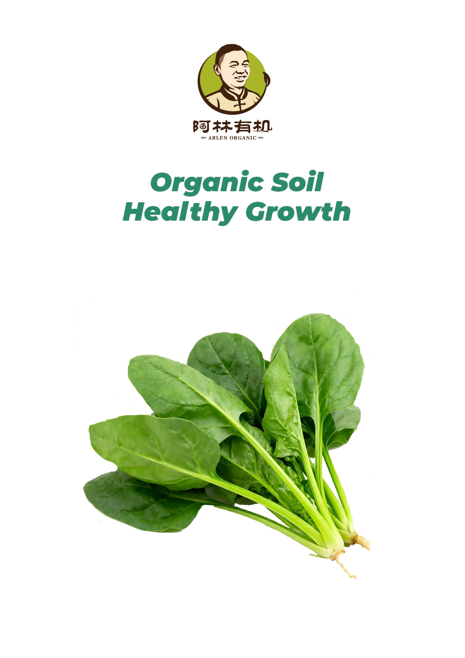 有机菠菜