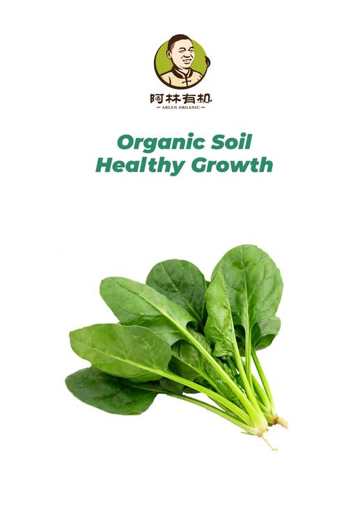 有机菠菜 商品图0