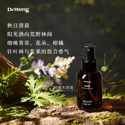 「在林间」植物香气空间喷雾 商品图3