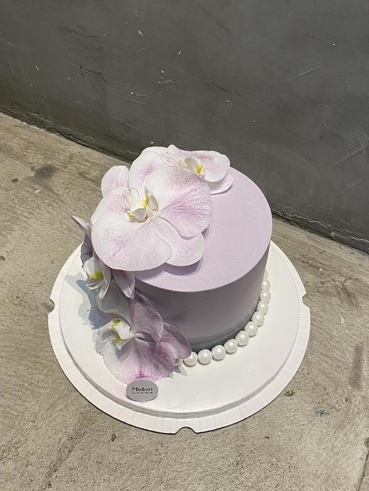 雾紫蝶兰 商品图1