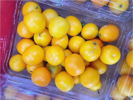 冰糖金桔一盒 商品图2