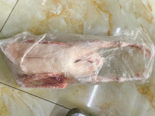 冰冻小鹅一只 商品图0
