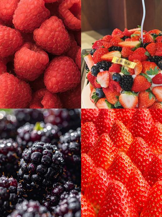 “莓”果丛林 · 奶油蛋糕 商品图0