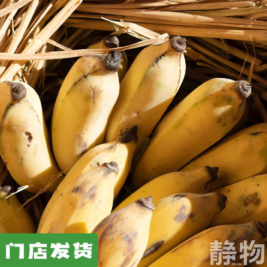 老实芭蕉｜云南元江 商品图0