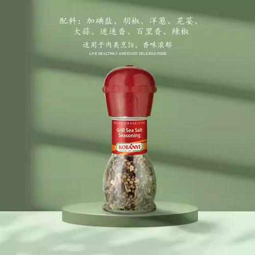 45g可达怡肉类烧烤用海盐复合调味料 商品图0