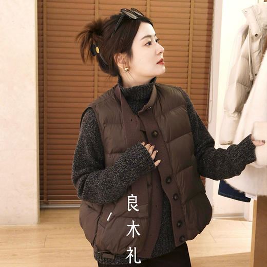 【特价不退换】【预售7天】良木礼羽绒马甲（D251102208F） 商品图10