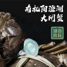 【有机大闸蟹】蟹卡套装（三选一）