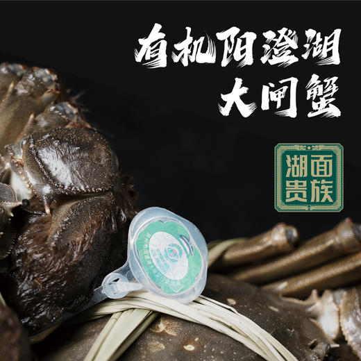 【有机大闸蟹】蟹卡套装（三选一） 商品图0