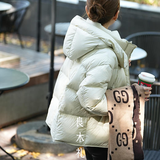 【特价不退换】【预售7天】良木礼鹅绒服（D258313） 商品图3