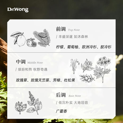 「在林间」植物香气空间喷雾 商品图1