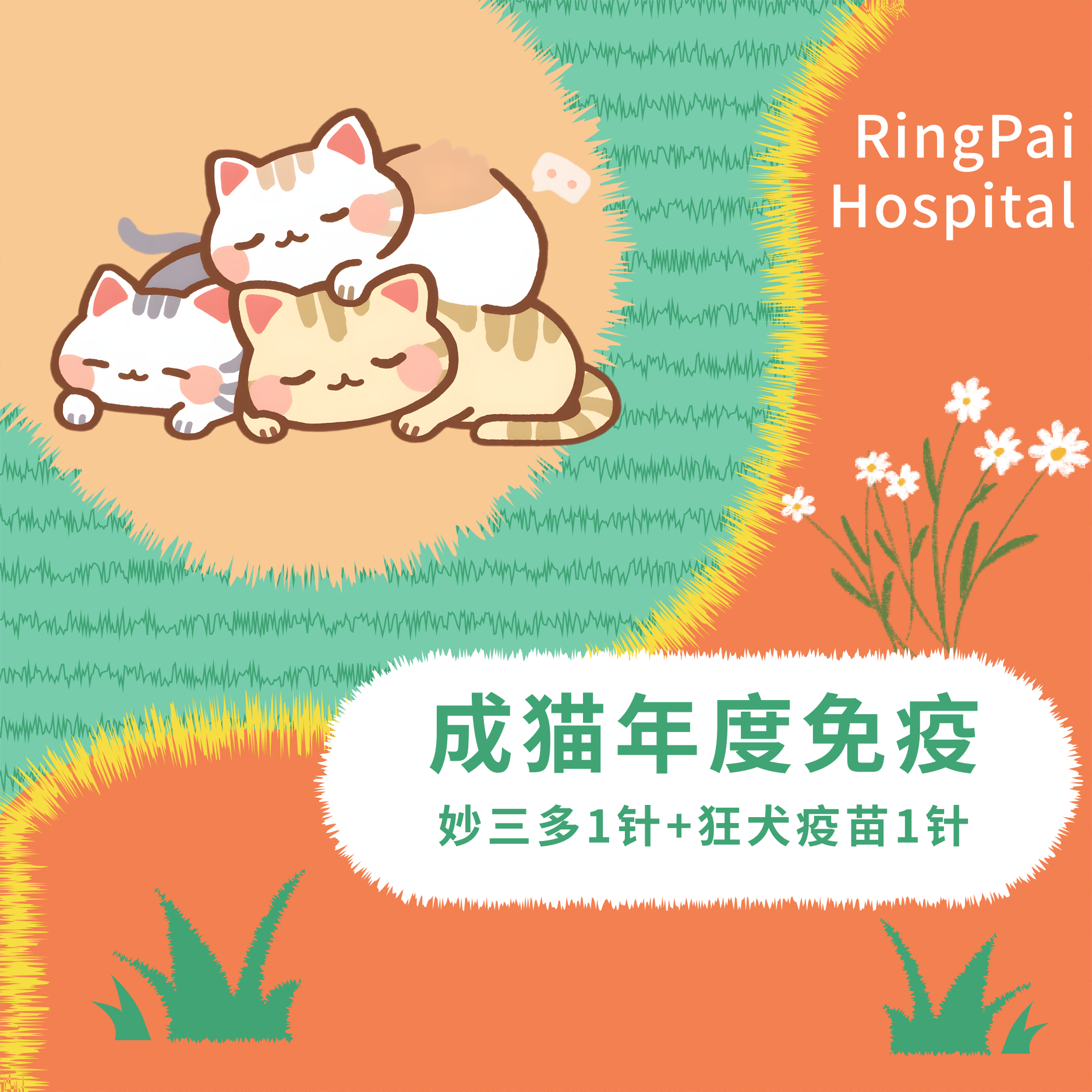 成猫年度免疫套餐 （妙三多1针+狂犬1针）