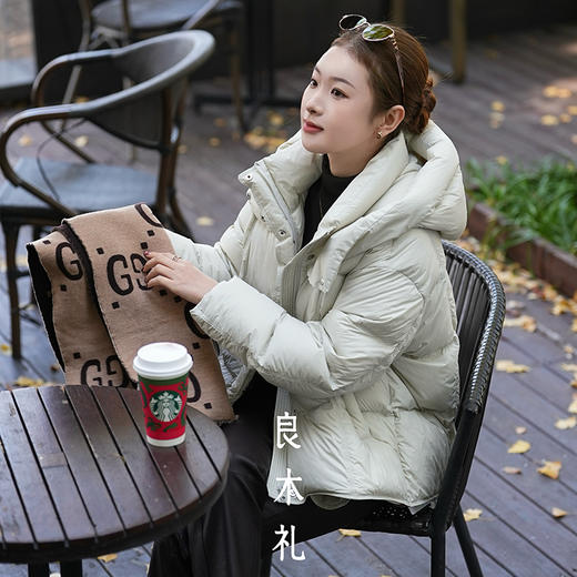 【特价不退换】【预售7天】良木礼鹅绒服（D258313） 商品图0