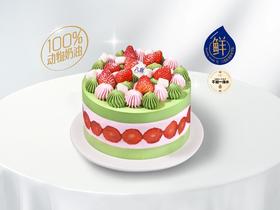 ※【草莓抹茶芋泥】新鲜草莓夹心生日蛋糕